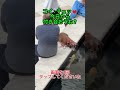 コイ：チュッ♥今日から付き合おうね？