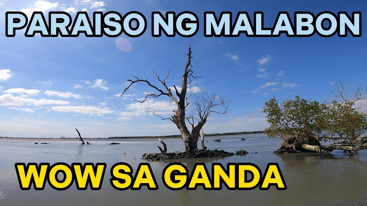 DAMPALIT MEGA DIKE / Malabon Hidden Paradise YouTube