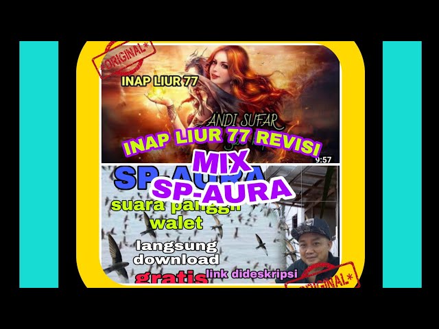 SP-AURA mix INAP LIUR 77 REVISI||SUARA PANGGIL WALET||NEW EXT SWIFTLET SOUND 2021 class=