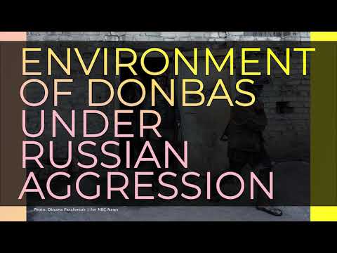 Environment of Donbas Under Russian Aggression