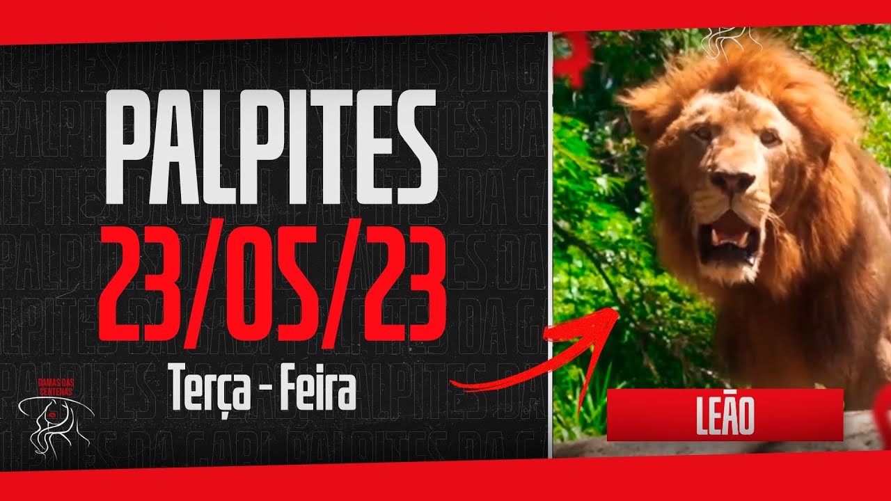 Jogo do Bicho 23/05/2023 Palpites da Gabi YouTube Jogo do Bicho 23/05/2023 Palpites da Gabi YouTube