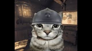 Video hráče zInsain