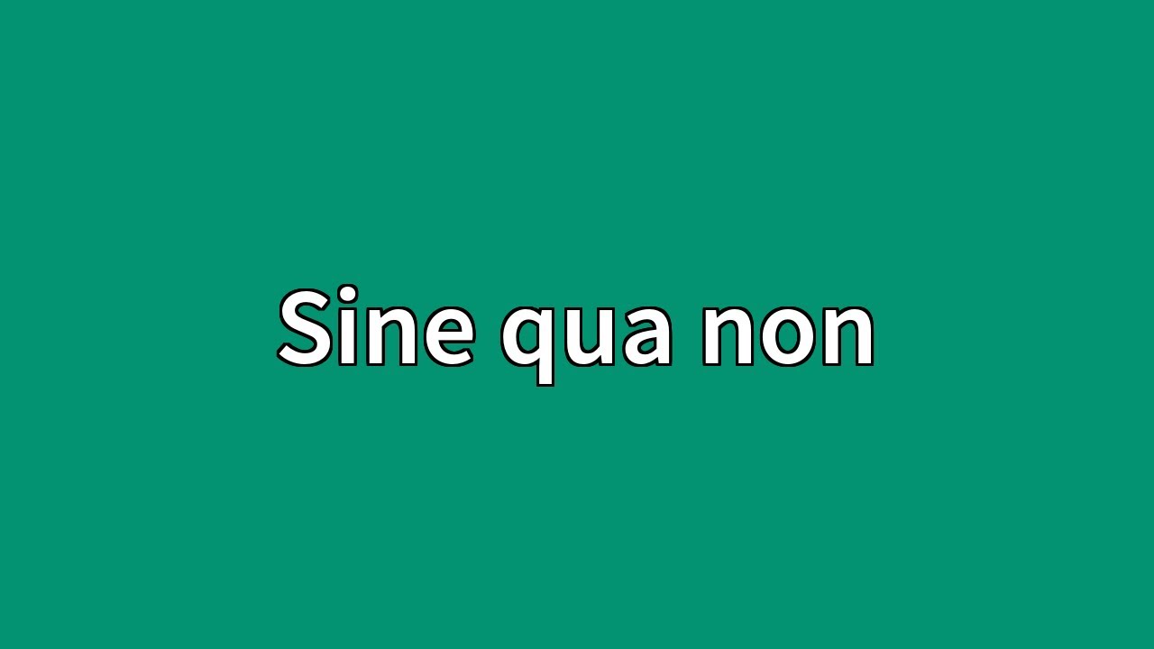 Sine qua non Meaning - YouTube