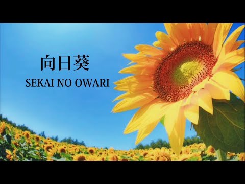 向日葵 cover by Harukaze