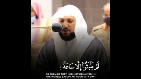 تلاوه ماهر المعيقلي فَاصْبِرْ كَمَا صَبَرَ أُولُو الْعَزْمِ مِنَ الرُّسُلِ