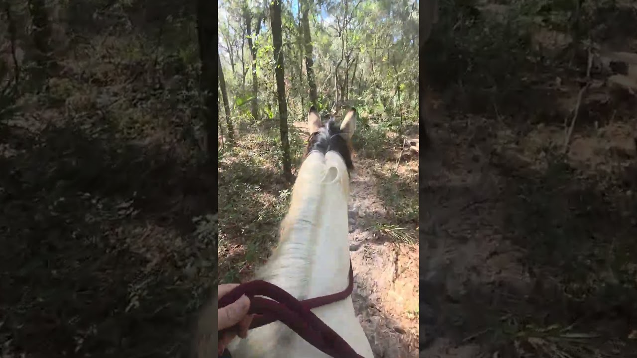 Up and over the land bridge with Brooks