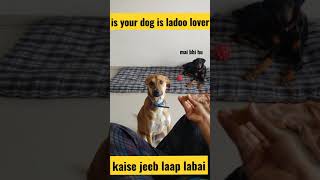 methi ke laddu fenugreek seeds ladoo l methi ladoo for dogs