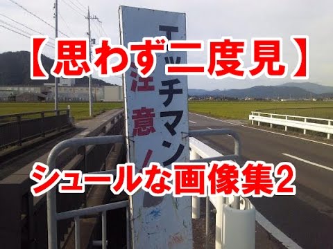 【思わず二度見】シュールな画像集②