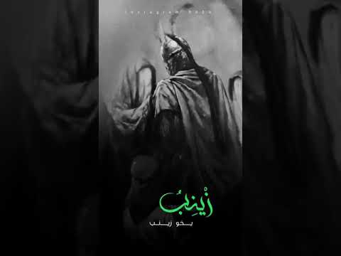 زينب يخو زينب تريدك عظد اخو عمرهة محمد باقر الخاقاني