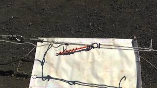 Peggy Peg Blue rope clip test