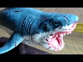 Большая белая акула из полимерной глины Great white shark made of polymer clay