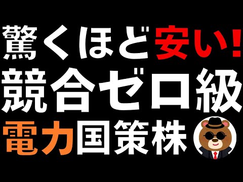 【知らなきゃ損】“競合ゼロ級”なのに今なぜか驚くほど安い。電力国策の実績1社を深掘り