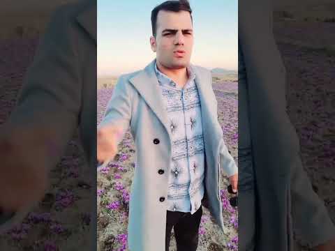 ولی معمولا باید هر هکتار زمین زعفران ۳۰۰ تا ۵۰۰ کیلوگرم گل تولید کنه شما میدونید چطور محاسبه کرد