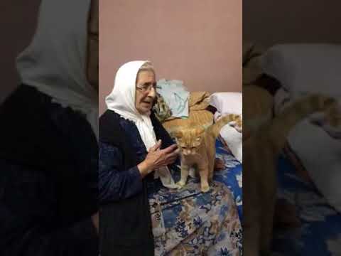 Kedi ile ninenin aşkı