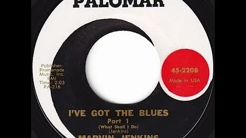 Marvin Jenkins I've Got The Blues What Shall I Do ...