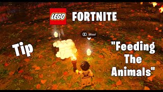 "Feeding The Animals" Lego Fortnite Tip