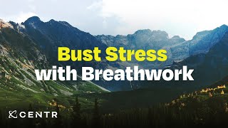 5-minute guided stress relief meditation with Ally Bogard screenshot 4