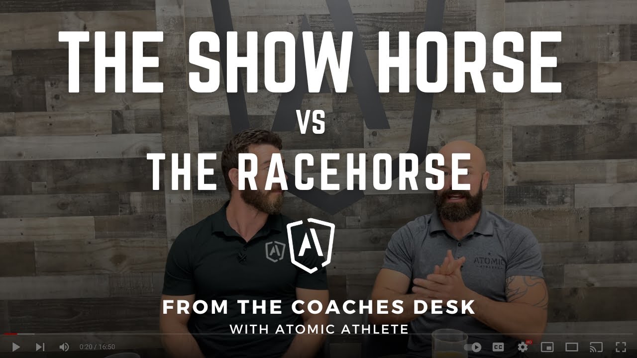 Show Horse vs. Racehorse Performance vs. Aesthetics in Fitness YouTube