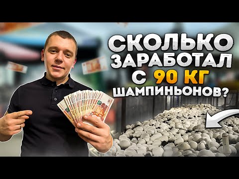 Сколько можно заработать на продаже грибов шампиньонов? Будни грибовода.