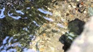 saut du chalard 0001
