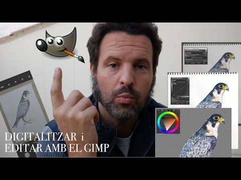 Vídeo: Com digitalitzar un dibuix al gimp?