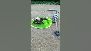 how to make motor water pump science project ! mini tractor cow videos # 515