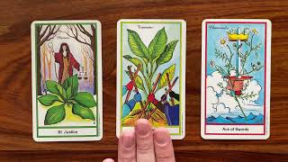 Sudden enlightenment! 12 December 2022 Your Daily Tarot Reading with Gregory Scott