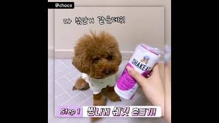 [다함께 SHAKEAT!] 흔들어먹는 강아지 사료 쉨잇. 맛있게 먹는 팁