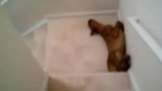 Download Lagu Ressaca do carai MP3