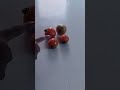 Tomato || टमाटर मे अम्ल#shorts #short #tomato