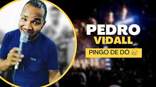 Pingo de Dó - Pedro VidaLL