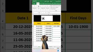 How to find Days in Excel