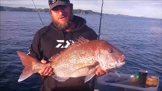 My Movie wlmp snapper madness