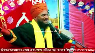 Live মাওলানা আমিনুদ্দিন রেজভীর ওয়াজ Maulana aminuddin rezbi waz