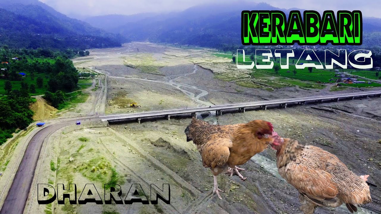 Dharan Kerabari hudai Nayabato Letang Samma | Gs Vlog