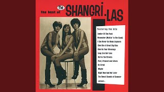 Video thumbnail of "The Shangri-Las - I'll Never Learn"