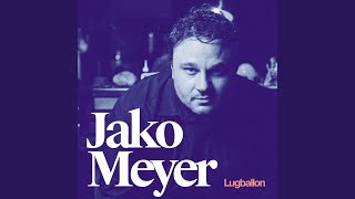 Video thumbnail of "Jako Meyer - Lugballon"