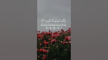 قرآن |سورة الشعراء  |الآيات 78-83 Quran |surah Ash-Shu`ara |Quranic verse 78-83