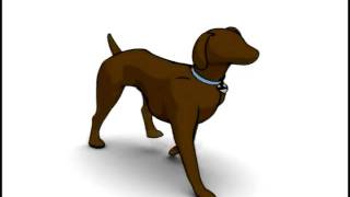 Dog Walk cycle