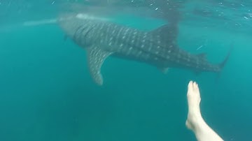 How many days have you lived? - Georgetown Law