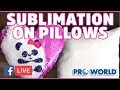 Sublimation On Pillows - (Facebook Live 3/8/18)