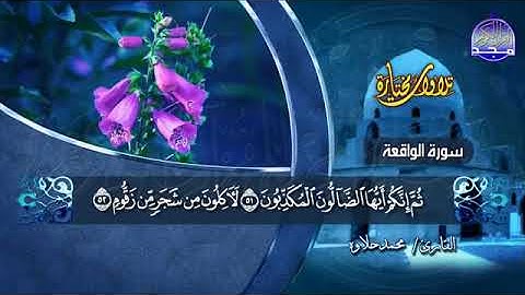 سورة الواقعة كاملة بصوت الشيخ محمد حلاوة