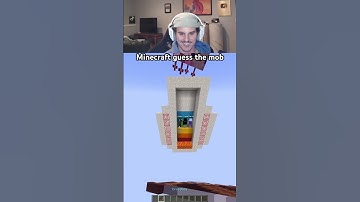Minecraft guess the mob