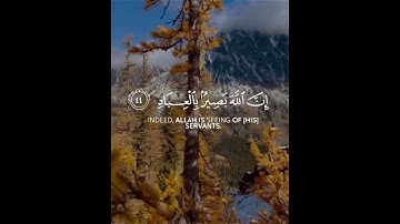 وأفوض أمري إلى الله 💎💎حالات واتس اب قرآن كريم بصوت جميل Quran Status 🌷 🌿