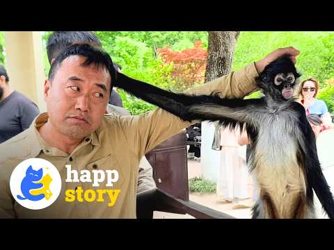 Doudou the Monkey Has One Mission: Making Her Zookeeper Go Bald 豆豆 饲养员 | HAPP
