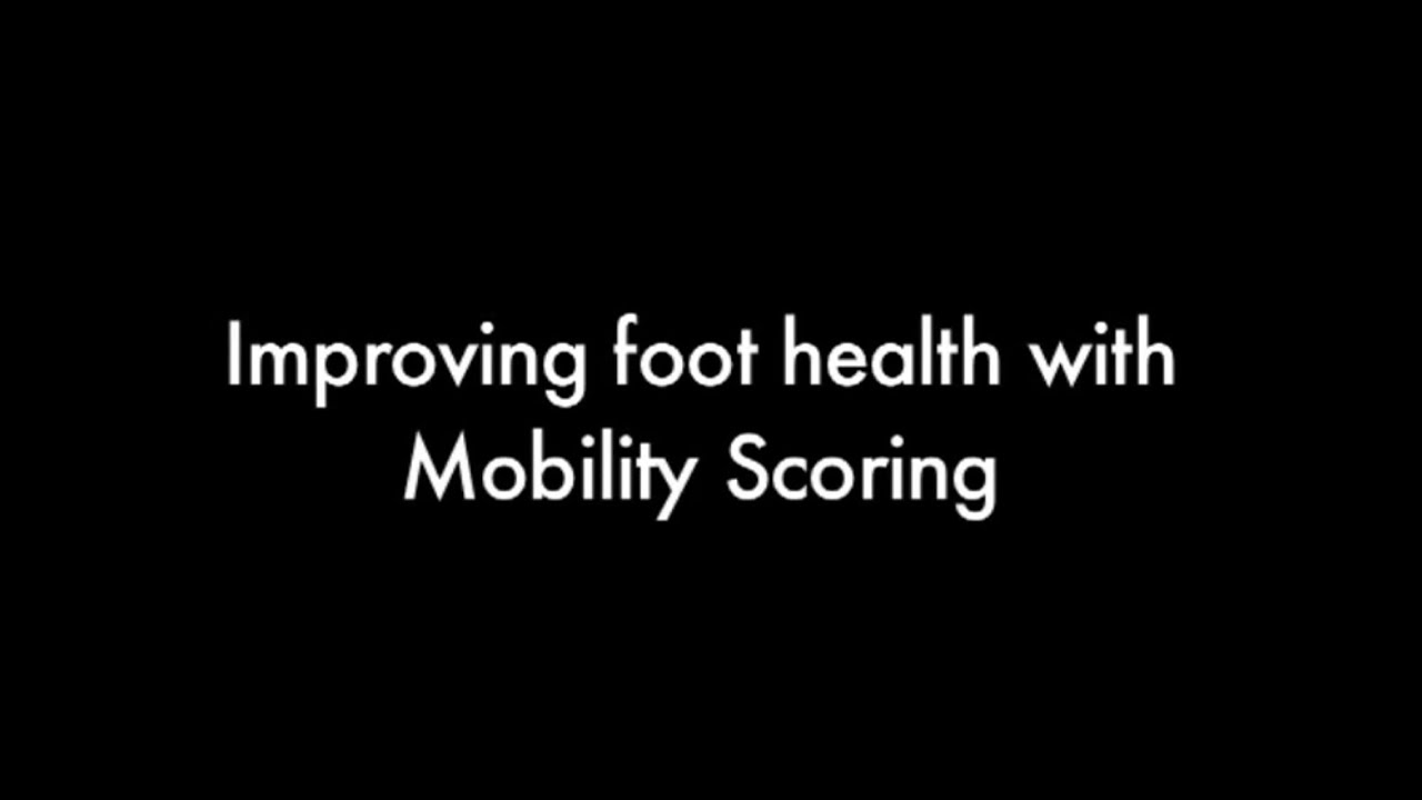Healthy Feet Introduction YouTube