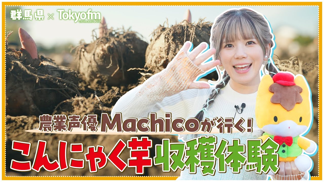【群馬県×TOKYO FM】農業声優 Machicoが行く！こんにゃく芋収穫体験