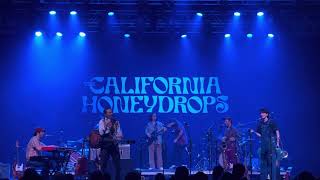 When it was wrong - California Honeydrops 🐝 