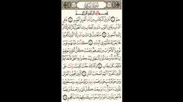 سورة غافر الصحيفة رقم 467 بصوت المقرئ فضيلة الشيخ د.أحمد عبد الرحمن الخجا الدمشقي الشافعي 🌸