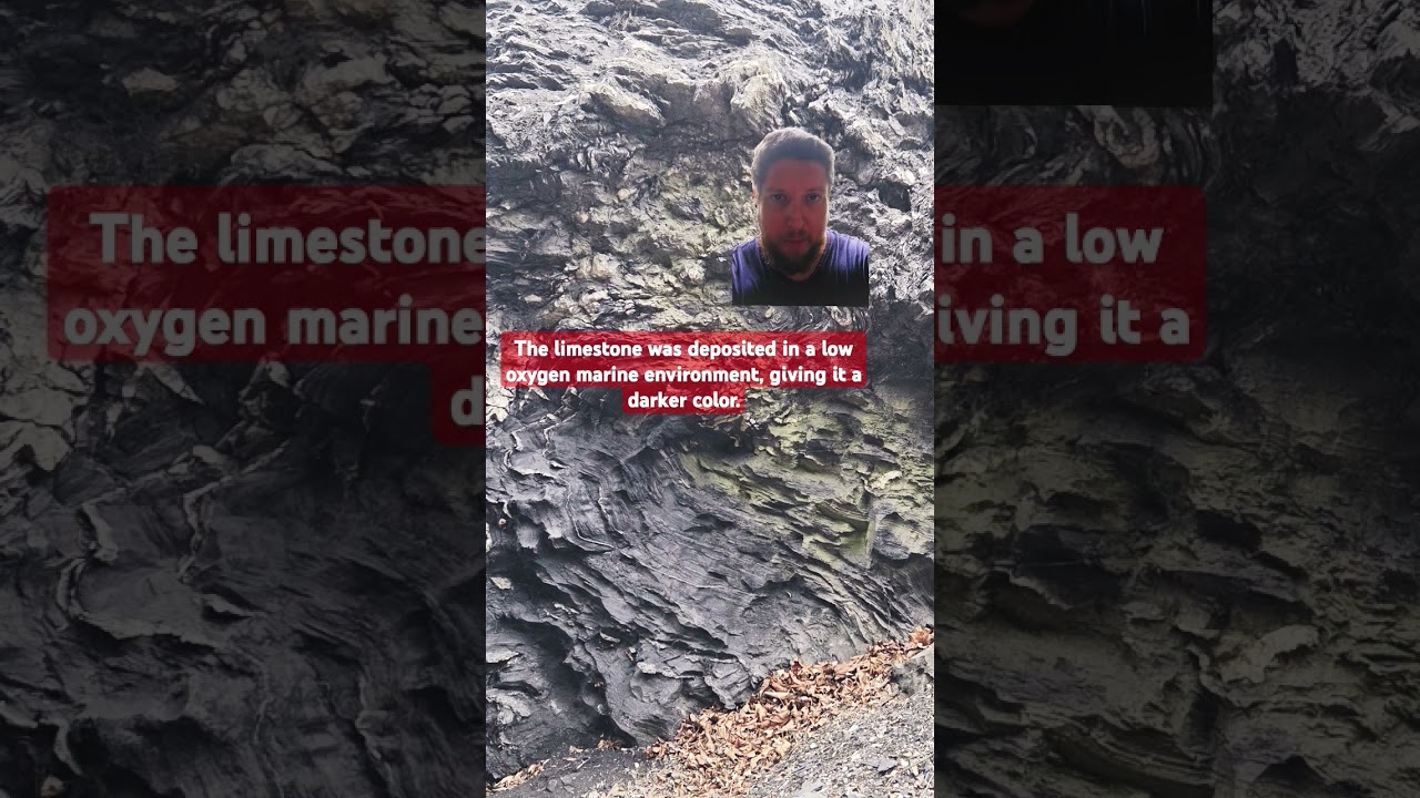 Folded and Fizzing Limestone from Pennsylvania 